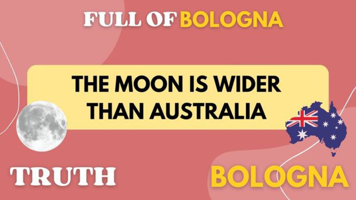 Full of Bologna image number null